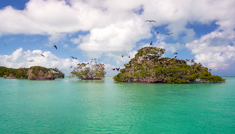 Punta Allen