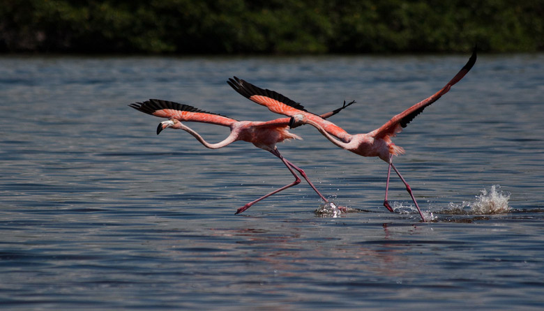 El Cuyo Yucatan