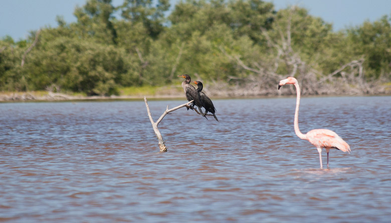 El Cuyo Yucatan