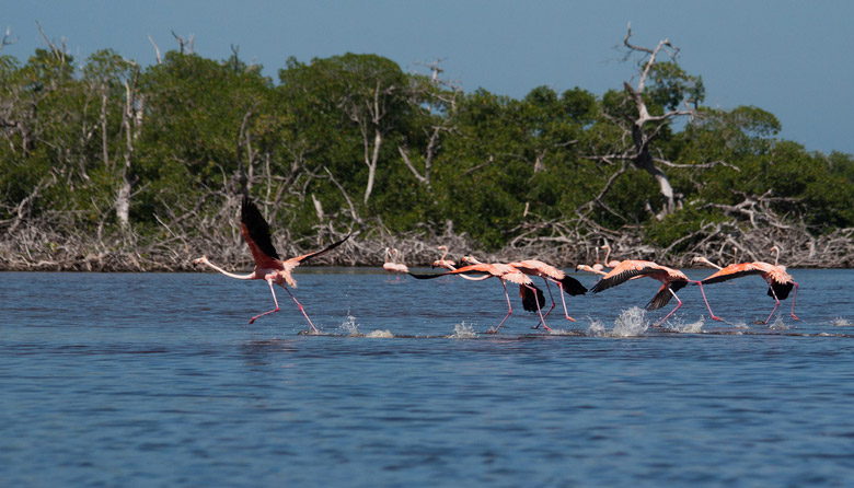 El Cuyo Yucatan