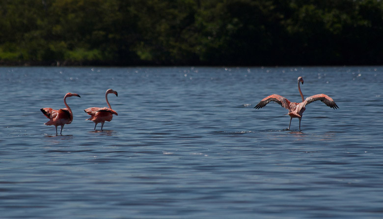 El Cuyo Yucatan