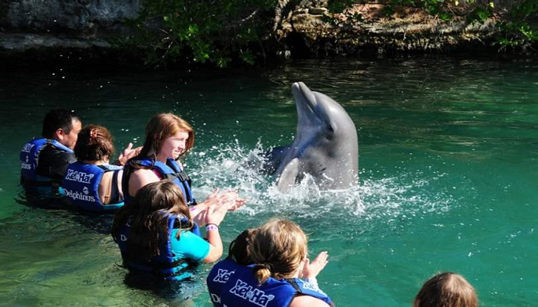 Delphinus Primax-Xel-Ha