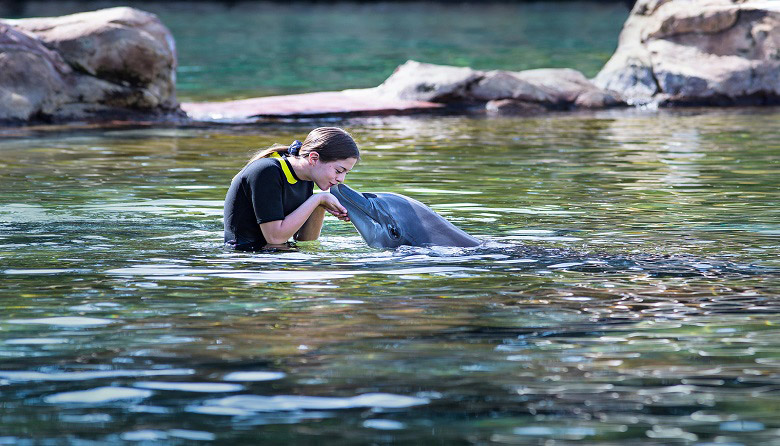 Delphinus Primax-Xel-Ha