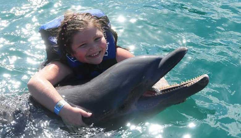 Whale Shark Adventure